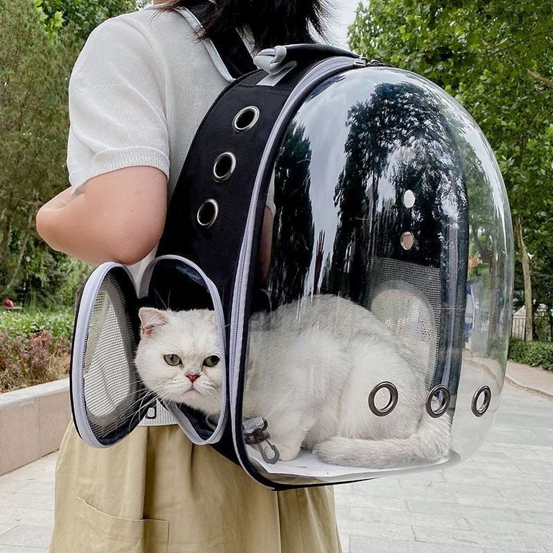 Mochila Bolso Transportes Transparente Mascotas -2