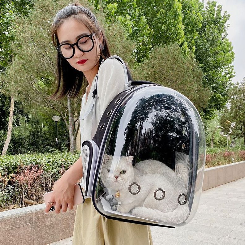 Mochila Bolso Transportes Transparente Mascotas -3