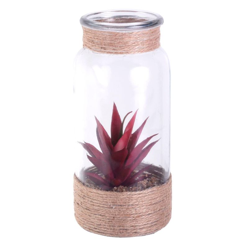 Planta Decorativa Botella Suculenta Roja-0