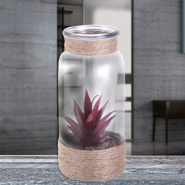 Planta Decorativa Botella Suculenta Roja-3