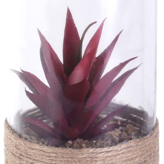 Planta Decorativa Botella Suculenta Roja-1