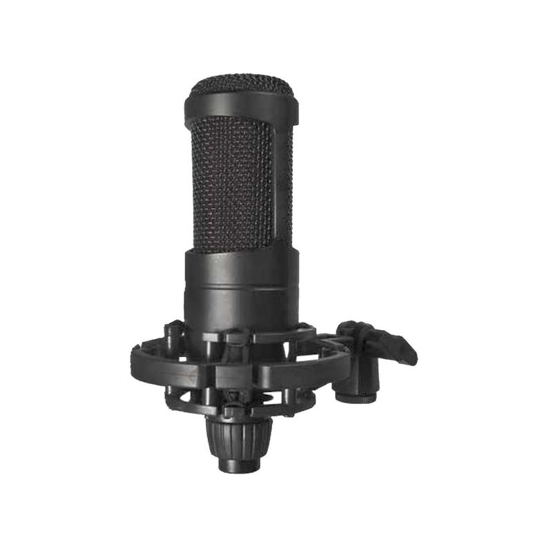 Microfono Condensador Profesional XLR a 3.5 mm Audiopro-0