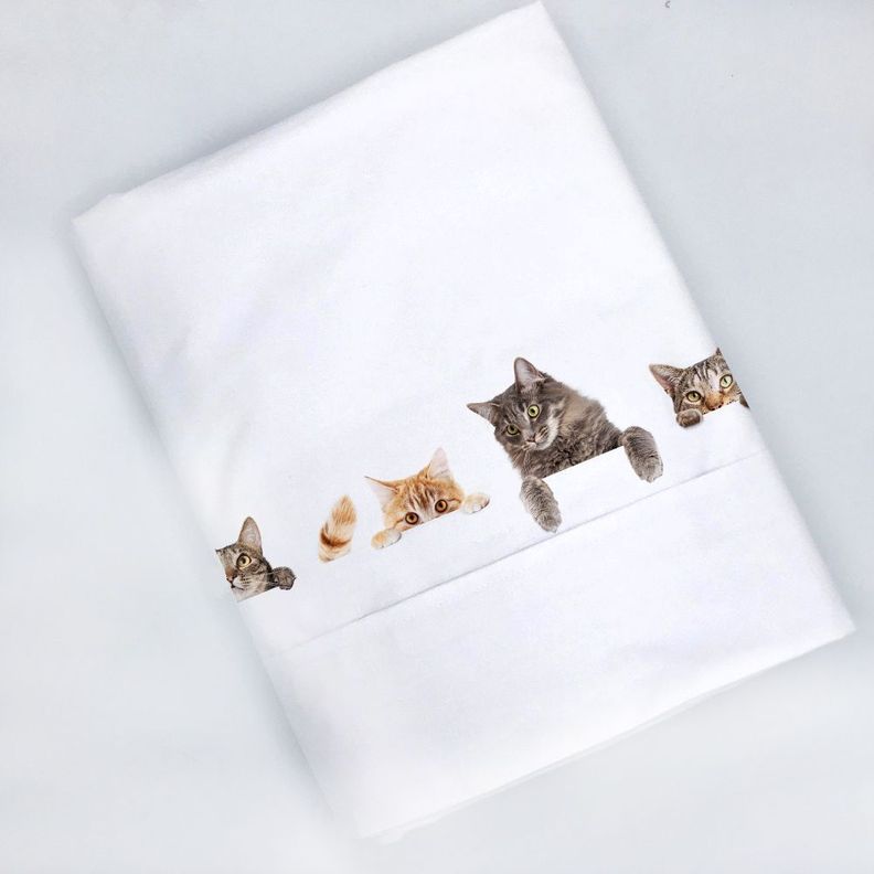 Juego de Sabanas 1,5 plazas Cats Lovers-1