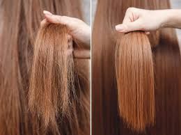 Botox Brasilia (Brasil Cacau) Corto-0