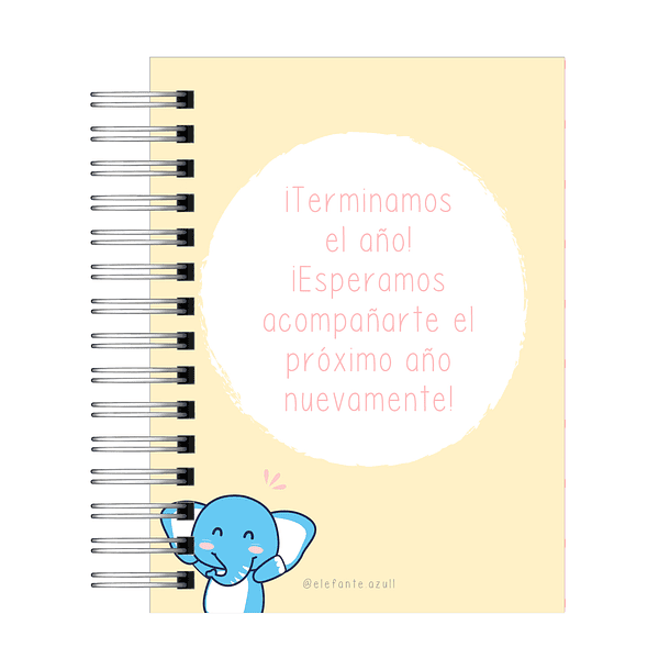 Agenda Profesor-17