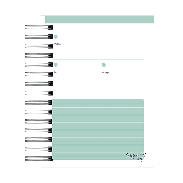 Agenda Profesor-16