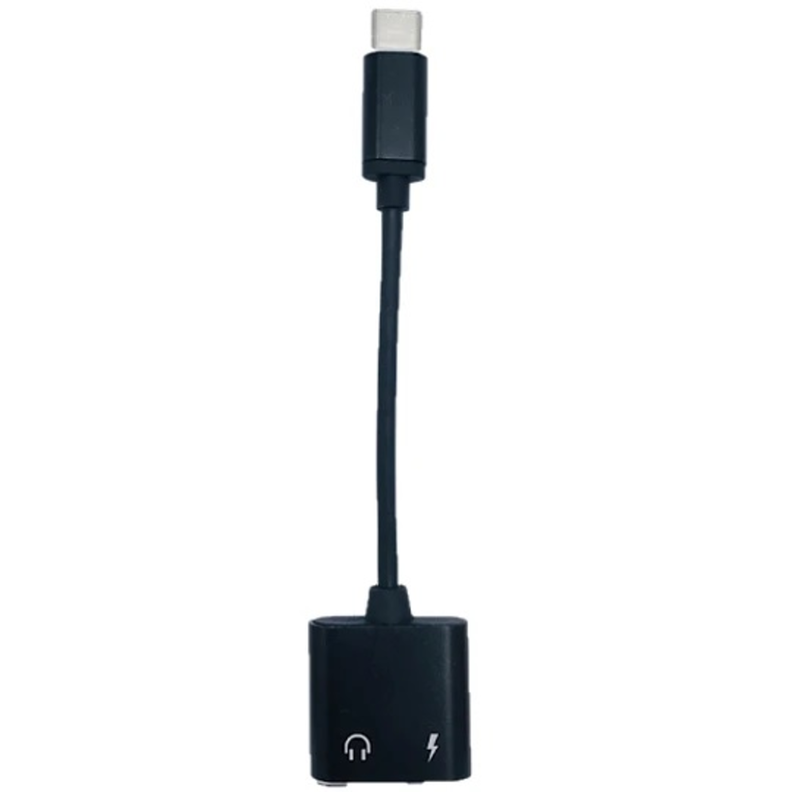 Cable Tipo C A Plus y Carga DM Con Caja-1