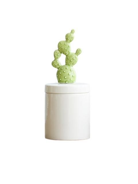 Cofre Cactus Alto-0