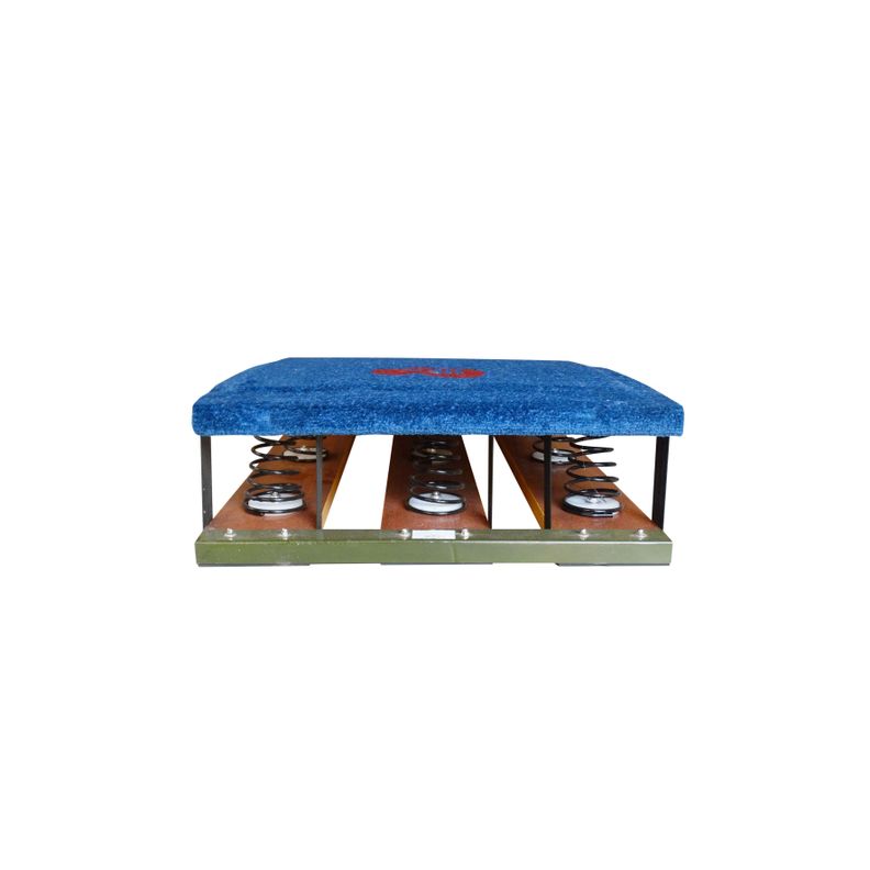 TRAMPOLIN CON RESORTE-3