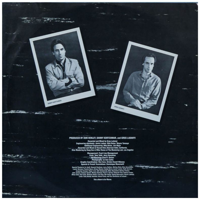 DON HENLEY - I CAN'T STAND STILL VINILO USADO-2