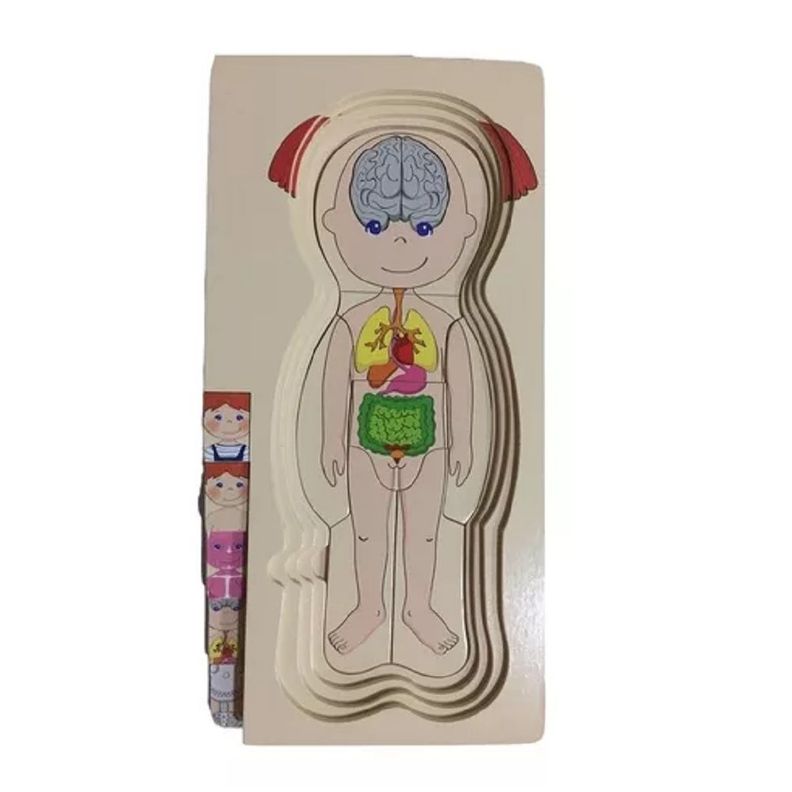 ROMPECABEZAS DIDÀCTICO SISTEMA DEL CUERPO HUMANO NIÑA 5X1-3