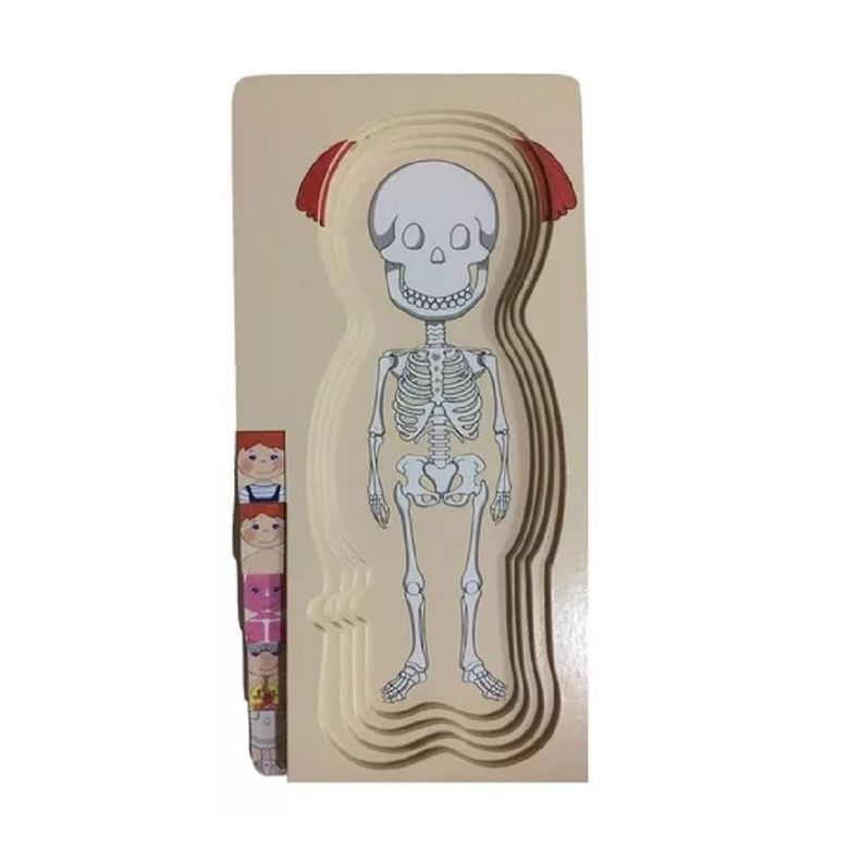 ROMPECABEZAS DIDÀCTICO SISTEMA DEL CUERPO HUMANO NIÑA 5X1-4