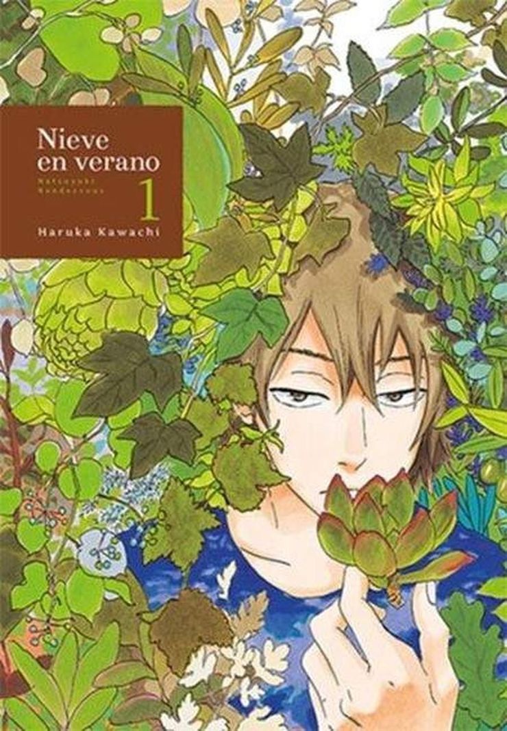 Manga Nieve En Verano 01 - España-0
