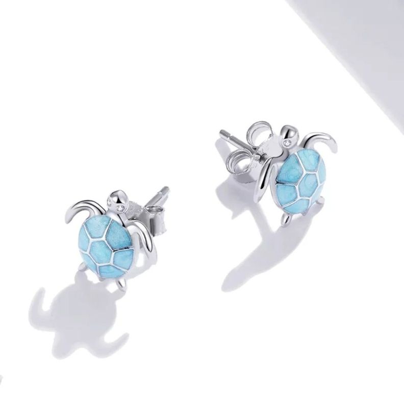 Aros Tortuga Plata 925-1