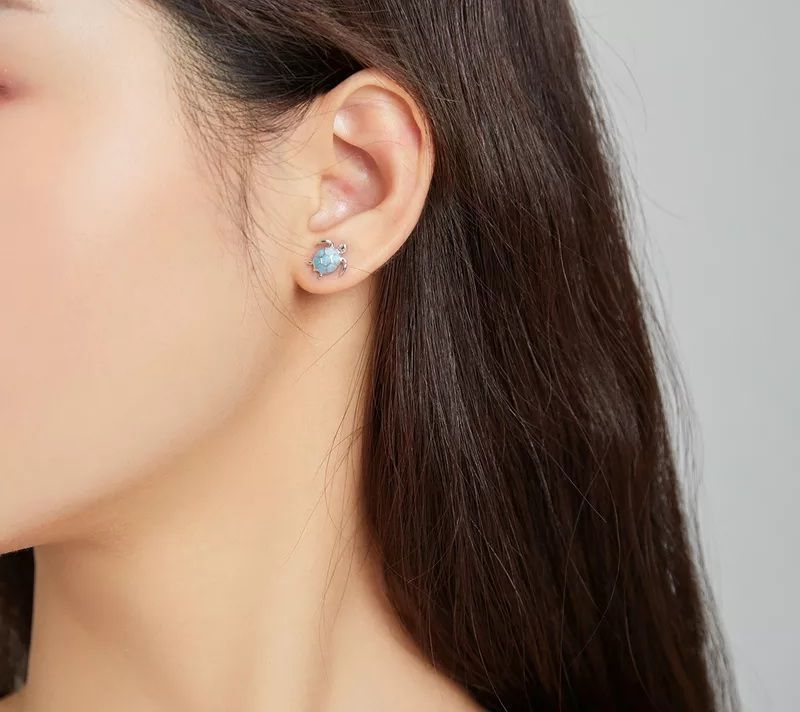 Aros Tortuga Plata 925-2