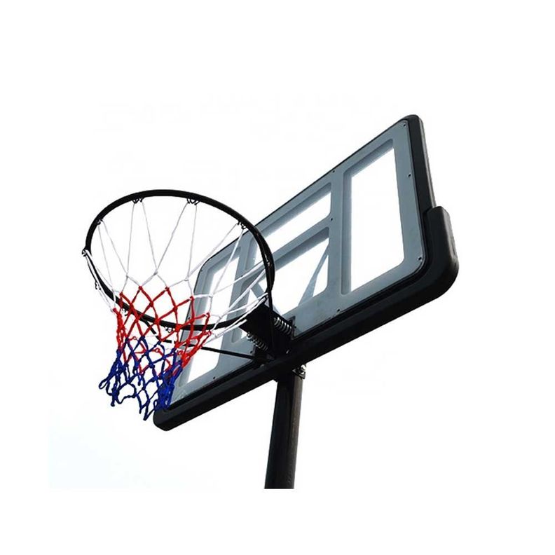 Aro de basquetbol Dennis Rodman-2