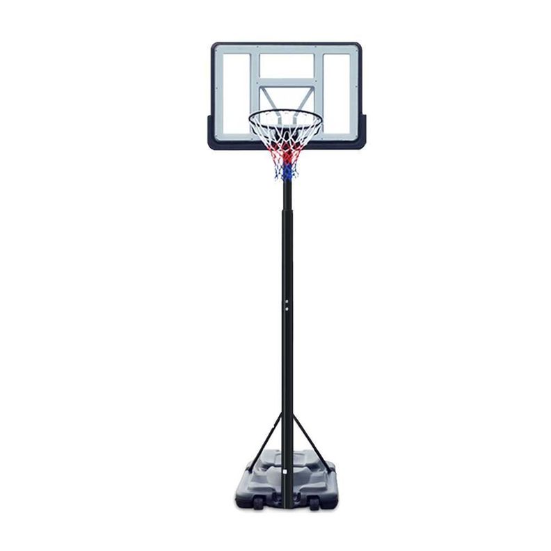 Aro de basquetbol Dennis Rodman-1