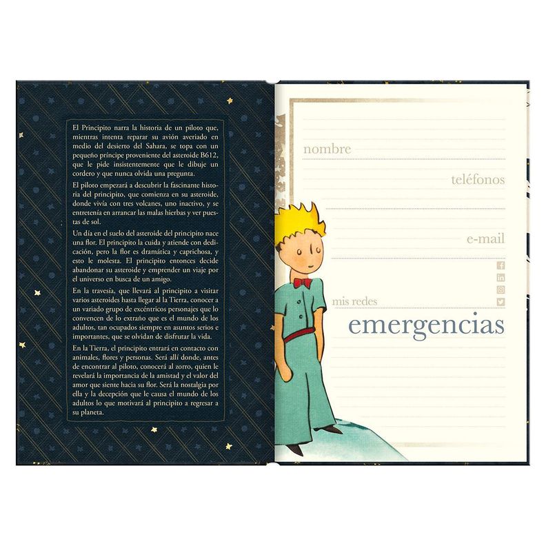 Agenda Le Petit Prince Lo Esencial No Se Ve Sem Vista 2023-4