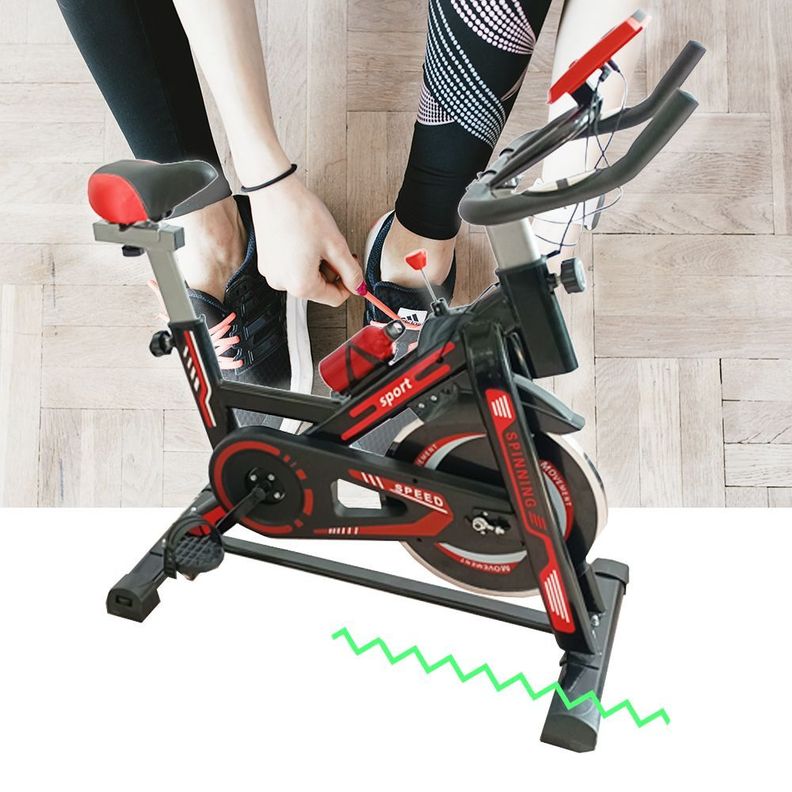 Bicicleta Spinning LF-118-4