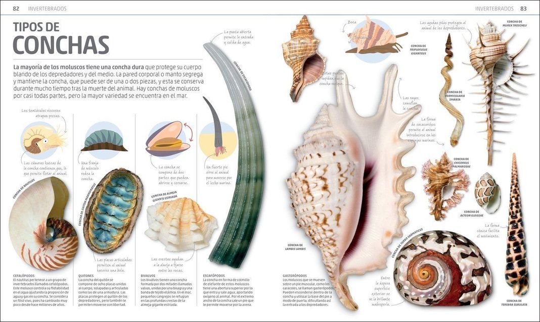 Dk Enciclopedia Secretos De La Naturaleza-2