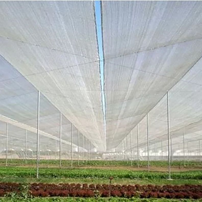 Malla Sombra Lisa 50% de 2,10 × 100 m color Blanco-1