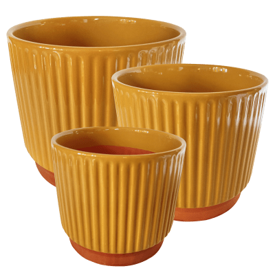 Set 3 Maceteros Enlozados Mostaza14x12,17x15y20x18 Mostaza