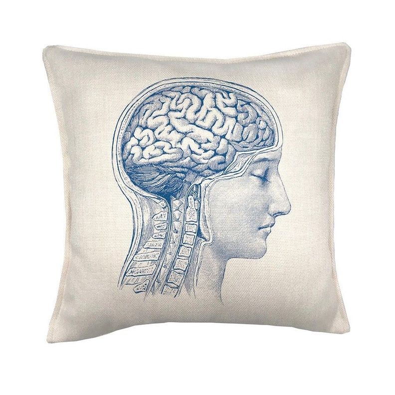 Cojin Cerebro Anatomia 45x45 Crema