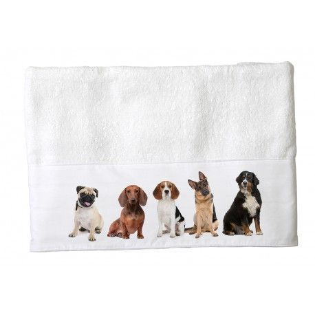 Toalla de Mano Animal Friend-0