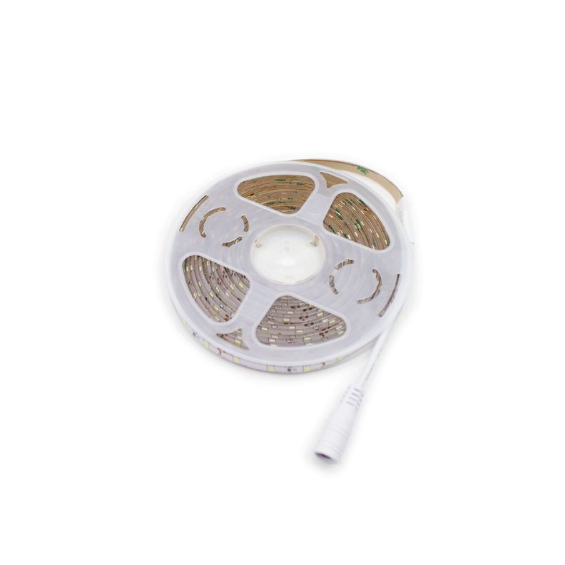 Tira de Luz Led Luz Blanca Resistente al Agua 5mts -0
