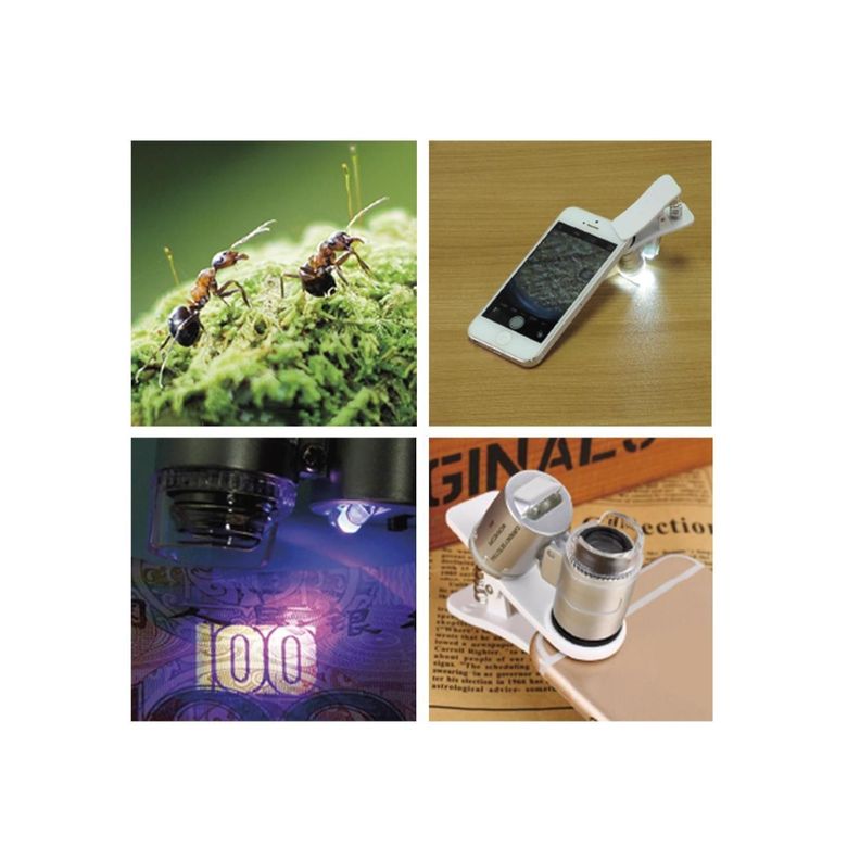Microscopio Lupa Clip Para Celular Con Luz UV Dblue-2