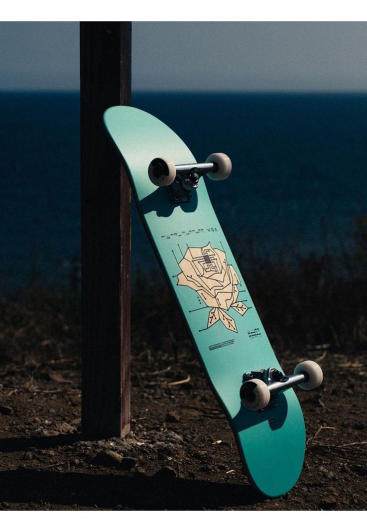 Skate Complete Digital Rose Globe Multicolor-0