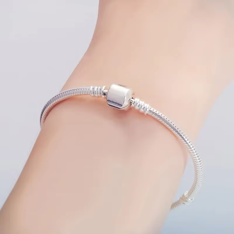 Pulsera Plateada de Acero para Charms 18 CM-1