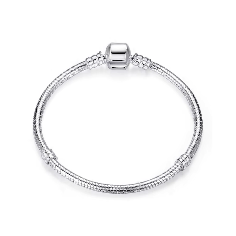 Pulsera Plateada de Acero para Charms 20 CM