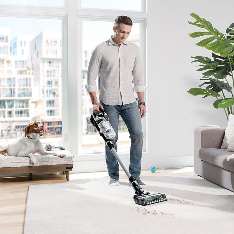 Aspiradora Inalámbrica MULTIREACH ACTIVE PET 21V 2907D-2