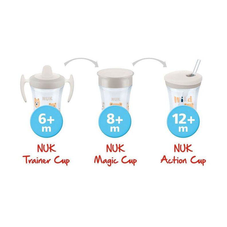 Set de vasos de transición NUK Morado-2