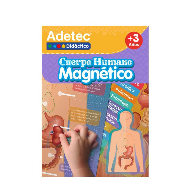 CUERPO HUMANO- LÁMINAS MAGNÉTICAS INTERACTIVAS-0
