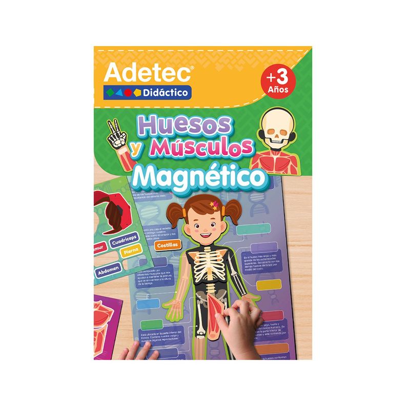 HUESOS Y MUSCULOS - LÁMINAS MAGNÉTICAS INTERACTIVAS-0