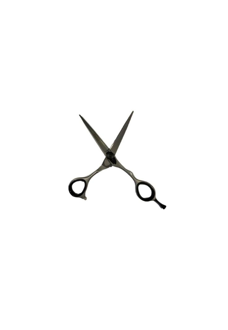 Set De Tijeras Wahl Profesional Filo Navaja Y Esculpidora 6 mate-4