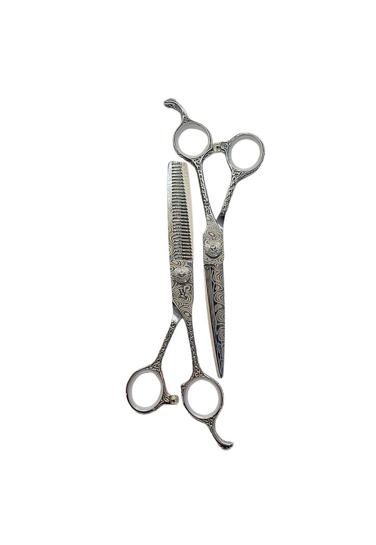 Set de Tijeras Wmark Pro D96-PS022 6" Con Estuche Y Peineta Plateado