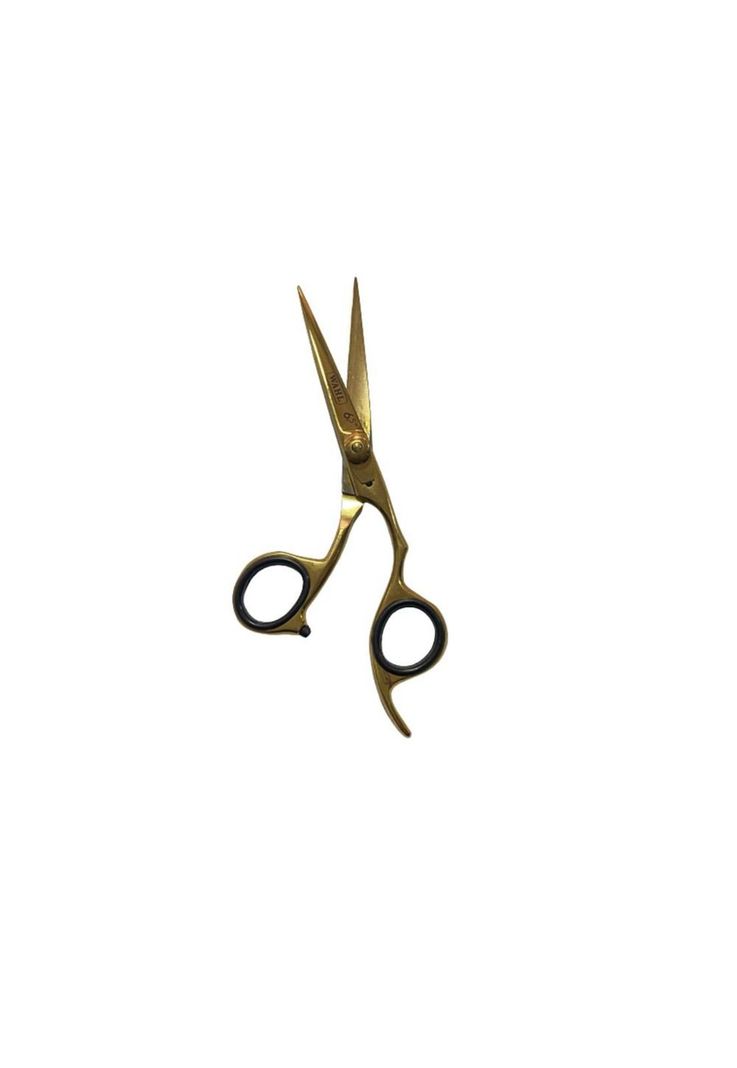 Wahl Tijera Convexa Profesional 6,5 Filo Navaja Dorado-2