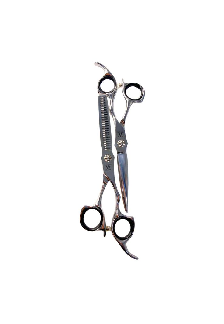 Set de Tijeras Wmark Pro D96-PS026 6" Con Estuche Y Peineta Plateado