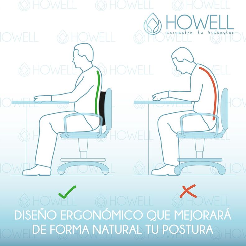 Cojín Lumbar Ortopédico Para Espalda Howell Soporte Dorsal-3