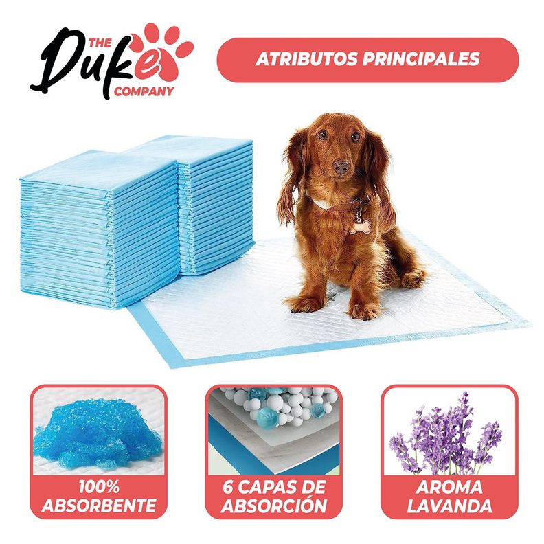 Sabanillas Para Perro  60x60 Duke 6 Capas Aromáticas 100U-3