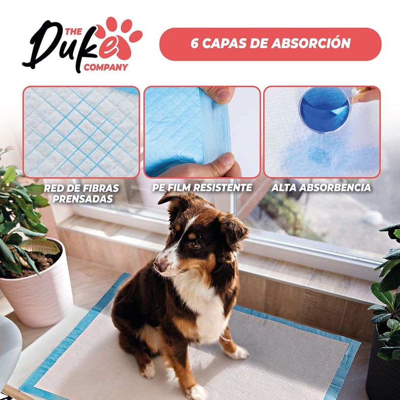 Sabanillas Para Perro  60x60 Duke 6 Capas Aromáticas 100U-5