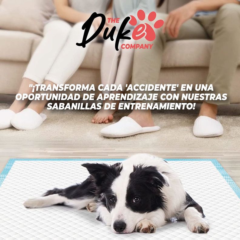 Sabanillas Para Perro  60x60 Duke 6 Capas Aromáticas 100U-8