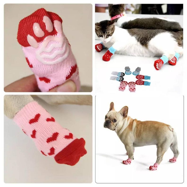 SET 4 CALCETINES PARA MASCOTA-1