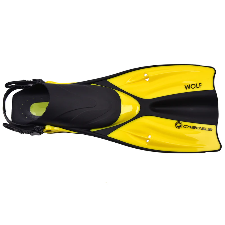 Kit Full Vision Pro-5
