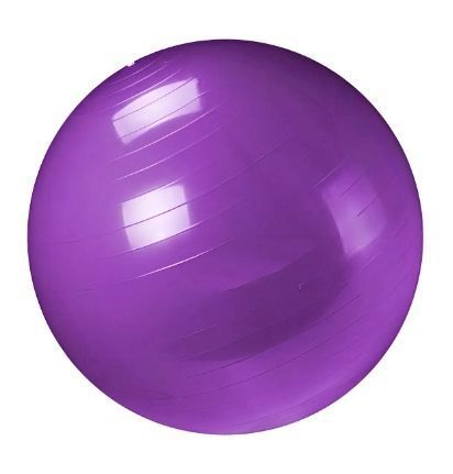 Pelota de gimnasia Pilates 65 cm Morado