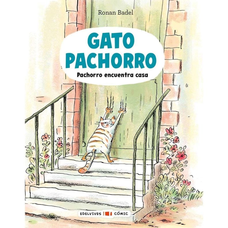 Gato pachorro 1. Pachorro encuentra casa