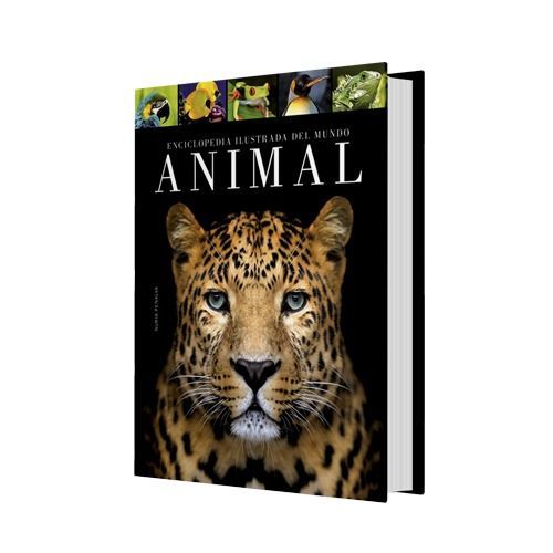Libro Enciclopedia Ilustrada Del Mundo Animal-1